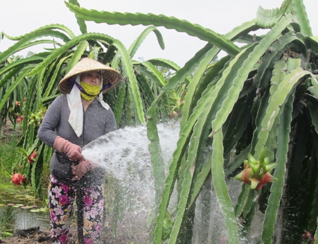 Ảnh minh họa. Nguồn: baoapbac.vn